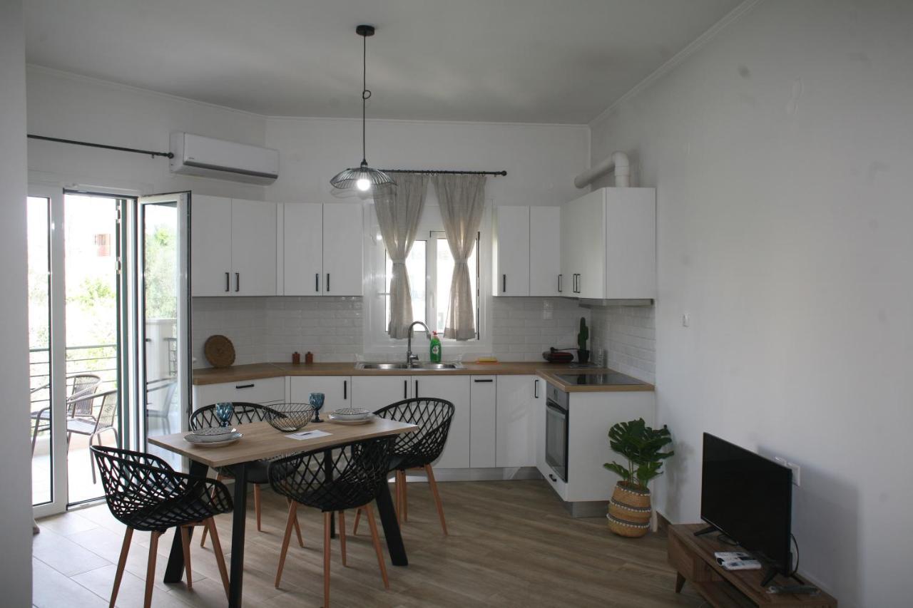 Aeraki House Apartment Lefkada City