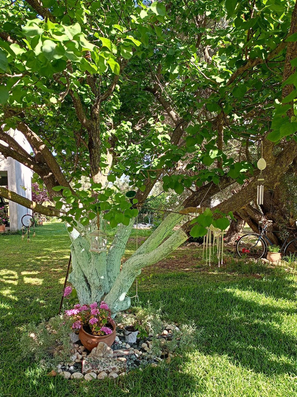 Aeraki House Apartment Lefkada City